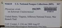 Image Associated With the Occurence